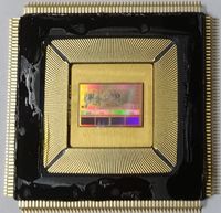 Merlin Chip
