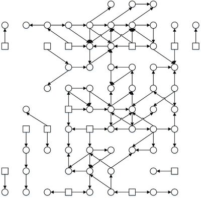Binoic Neural Network